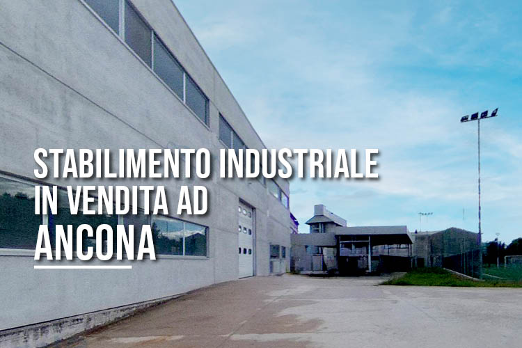 stabilimento industriale ancona